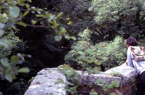 13 Jun 1982 · Silveridge Wood (SX 728494)