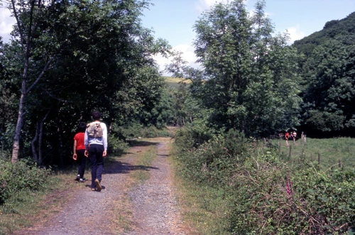 13 Jun 1982 · Silveridge Wood (SX 728494)