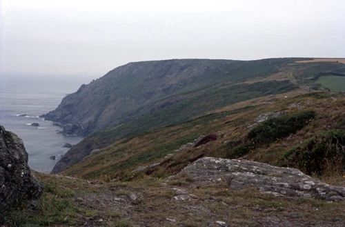 11 Jul 1982 · Bolberry Down