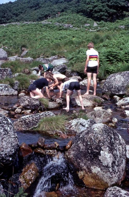 25 Jul 1982 · Crow Tor