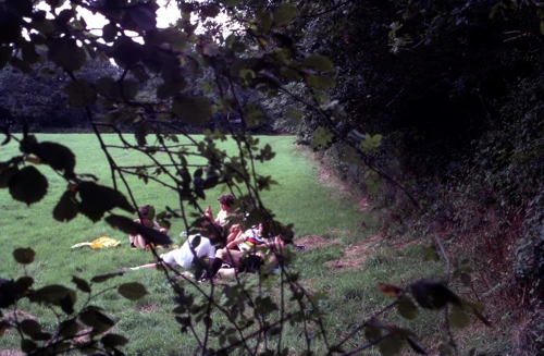 15 Aug 1982 · Posbury Clump