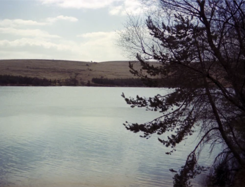 20 Apr 1980 · Dartmeet